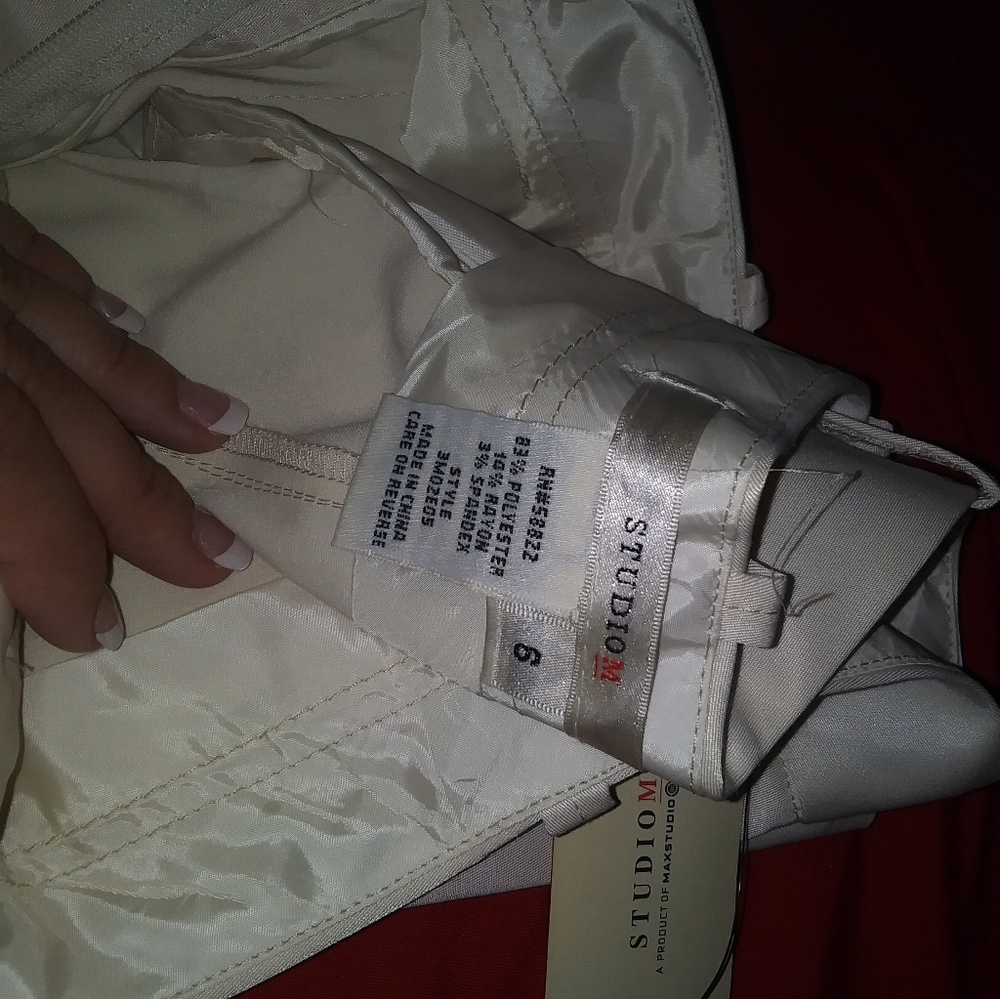 Max Studio Silk Dressy Pant